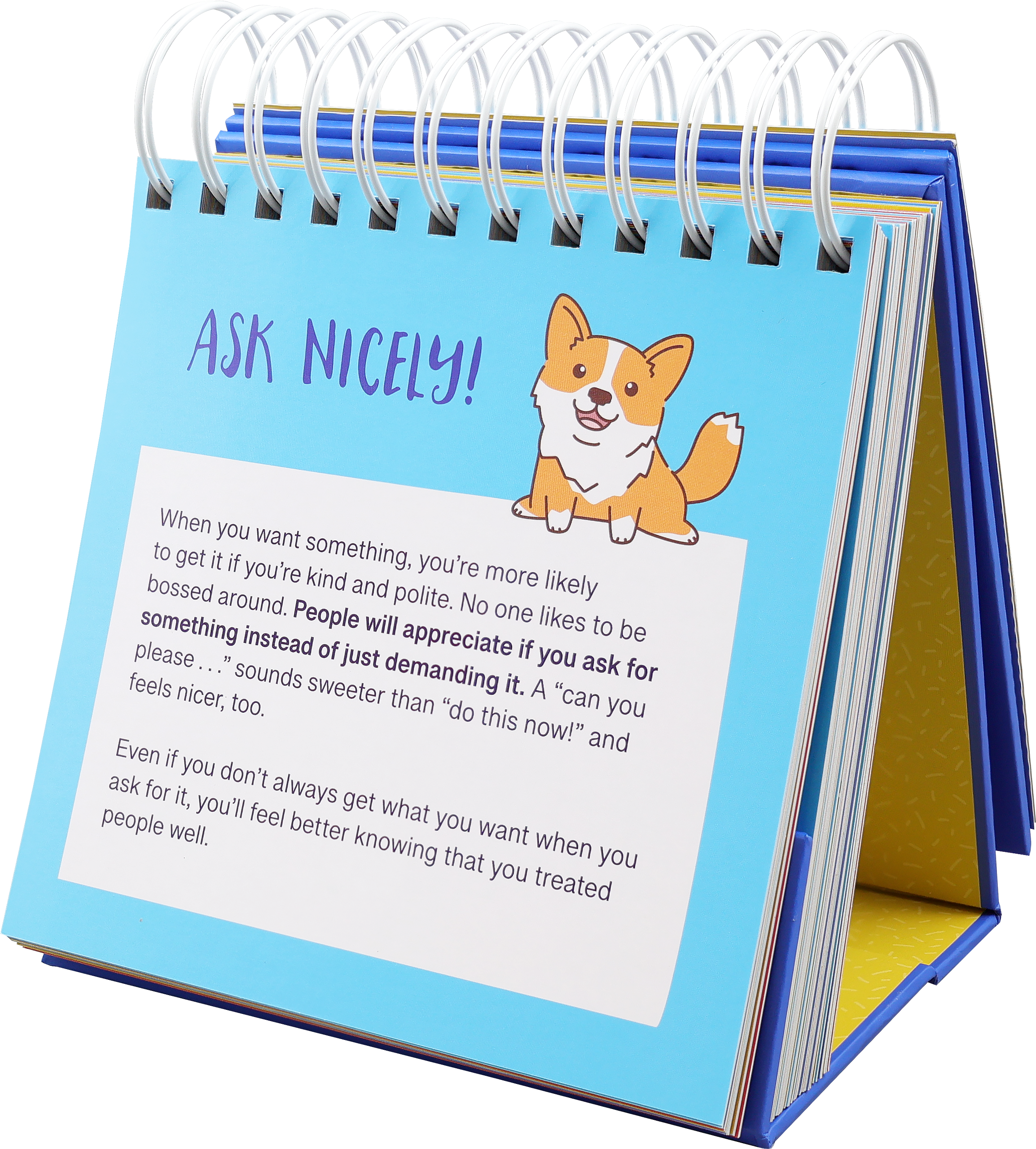 Peter Pauper Press - Everyday Manners and Social Skills - A Flip Book For Kids
