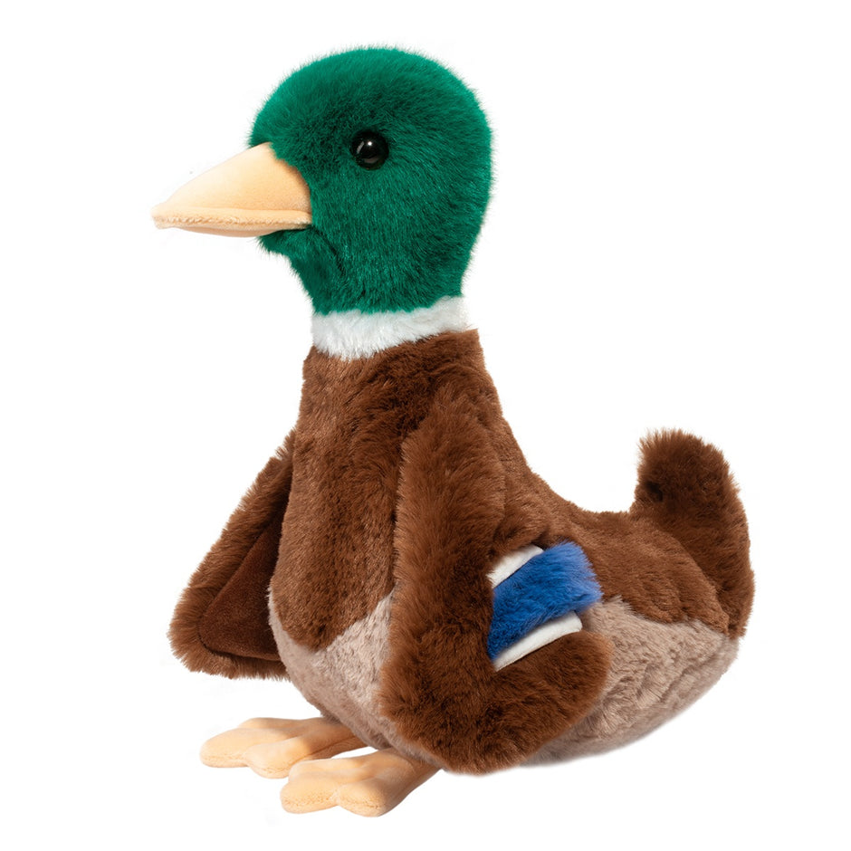 Douglas Desie the Mallard Duck