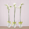 Two's Company Sleek & Chic Set of 3 Tear Drop Vase