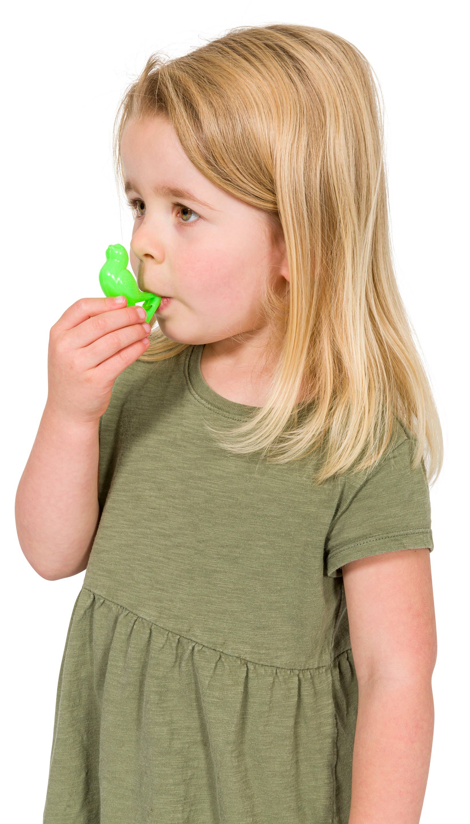 Toysmith - Neato! Bird Whistle - Retro Classic, vintage toys