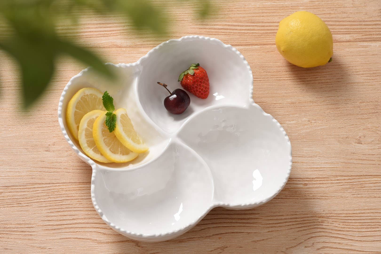 Pampa Bay - 4 Section Bowl in Shatterproof Melamine