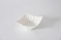 Pampa Bay Square Snack Bowl