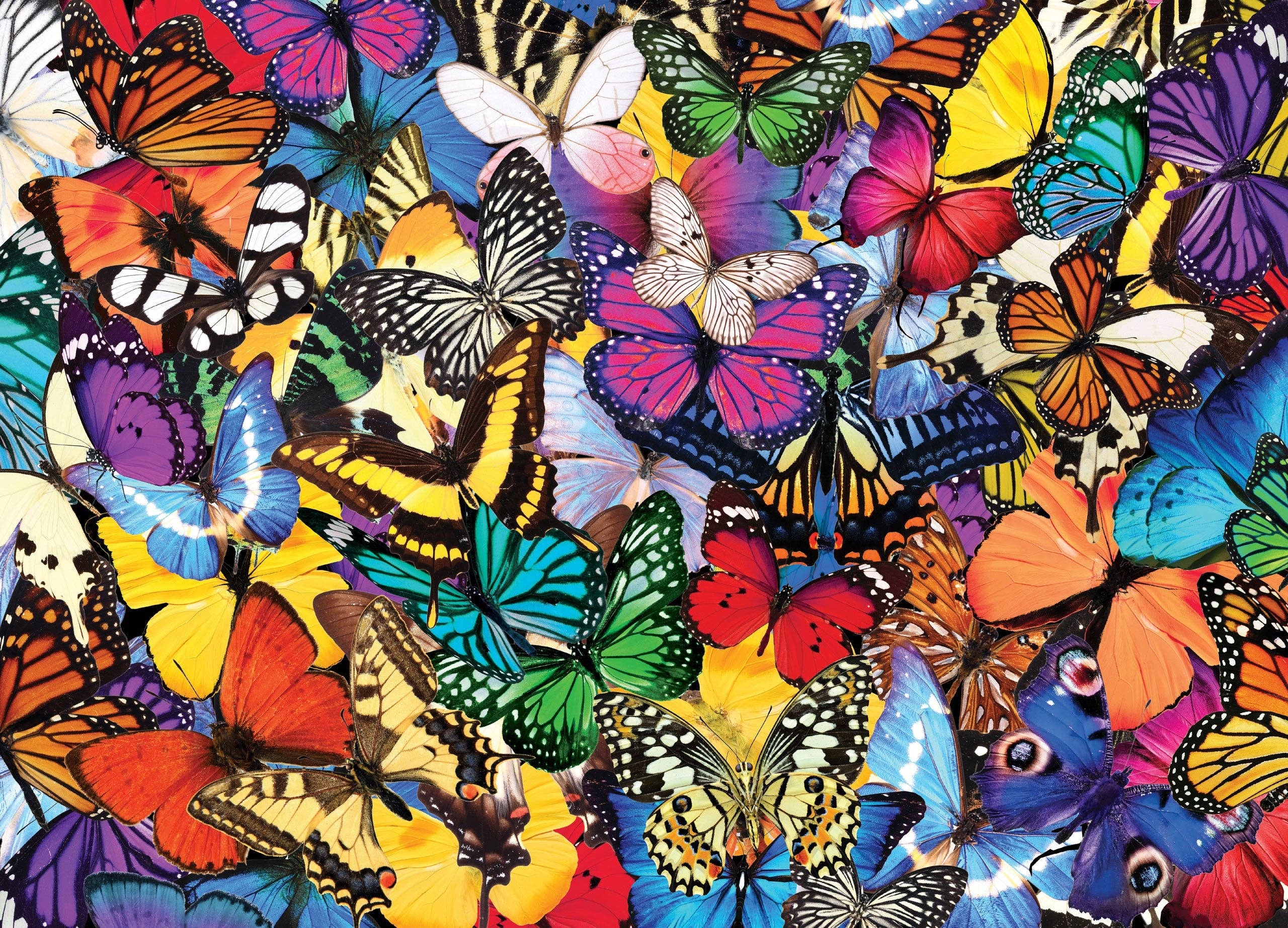 Peter Pauper Press - All the Butterflies 500 Piece Jigsaw Puzzle