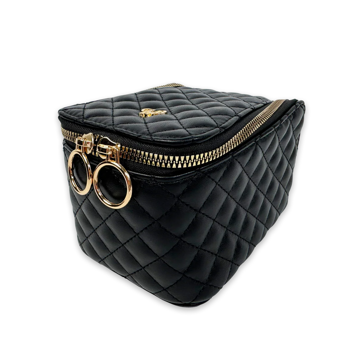 PurseN Train Jewelry Case